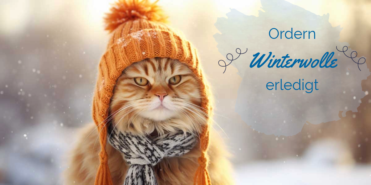 Katze mit Schal und Mütze freut sich auf die neue Winterwolle